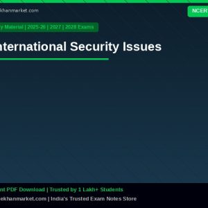International Security Issues